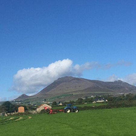 Willowtree Glamping Mournes Βίλα Annalong Εξωτερικό φωτογραφία