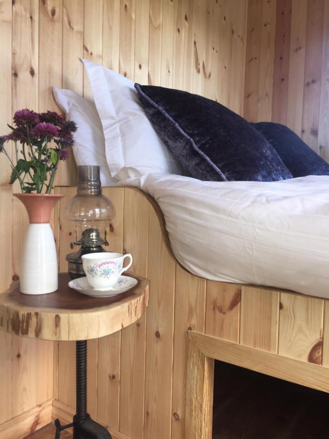 Willowtree Glamping Mournes Βίλα Annalong Εξωτερικό φωτογραφία