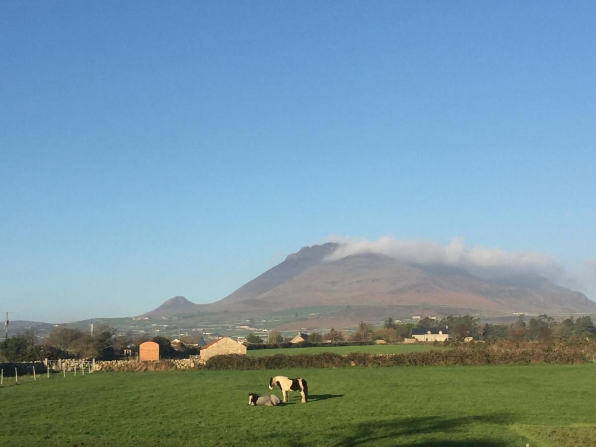 Willowtree Glamping Mournes Βίλα Annalong Εξωτερικό φωτογραφία